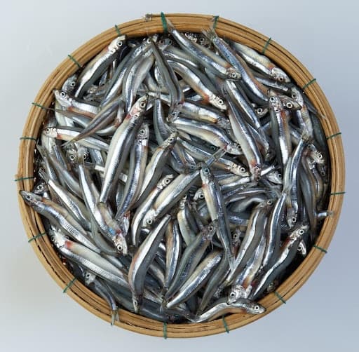 Rổ cá cơm tươi