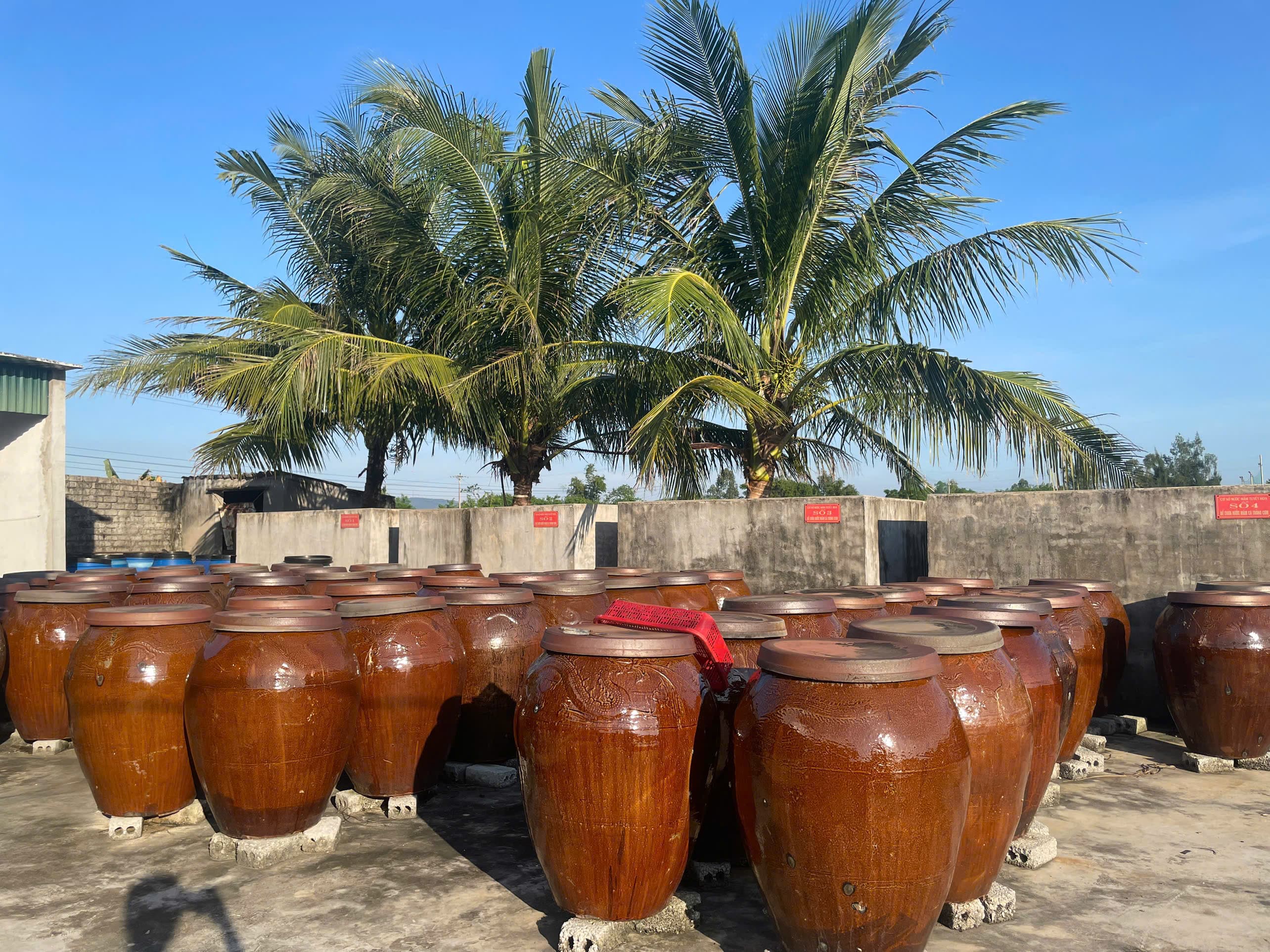 Chum sành ủ nước mắm